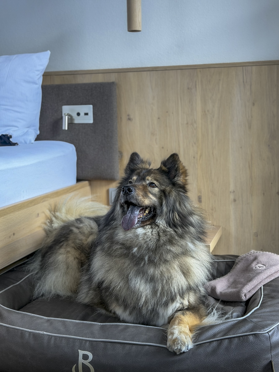 Cocotravel Oesterreich Grossarl Bergzeit Zimmer 14