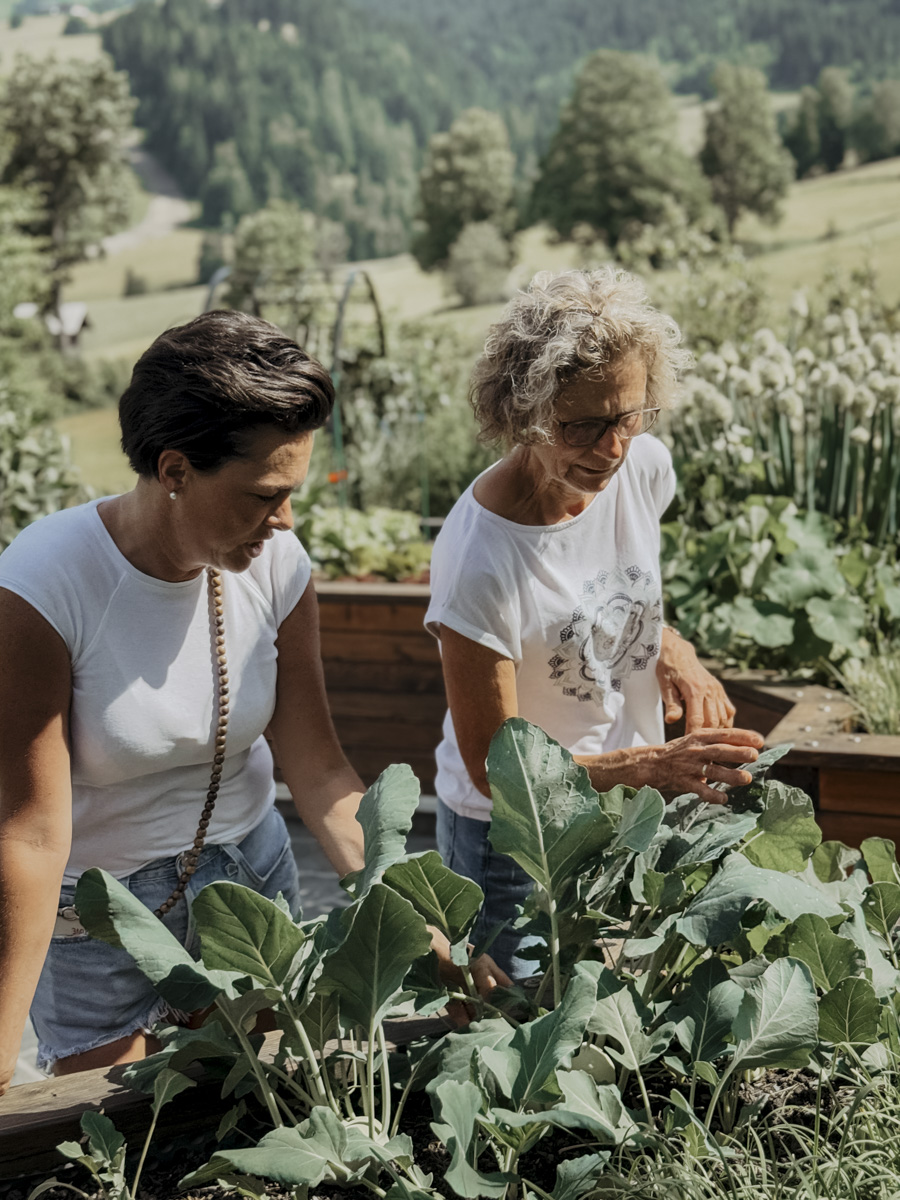 COCOtravel Oesterreich MariaAlm Kraeuterwanderung COCOtravel Oesterreich MariaAlm Kraeuterwanderung