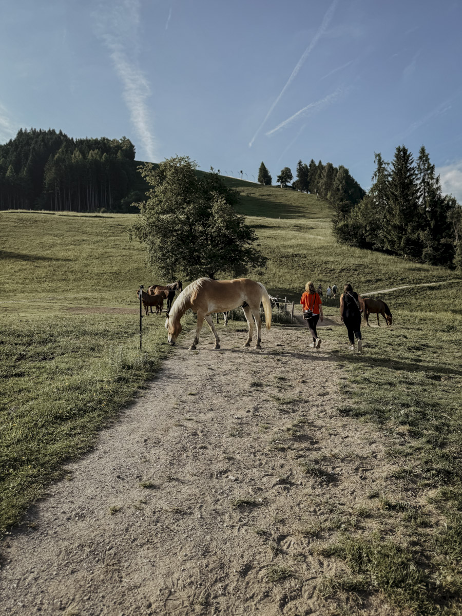 COCOtravel Oesterreich MariaAlm Wandern Natrun COCOtravel Oesterreich MariaAlm Wandern Natrun