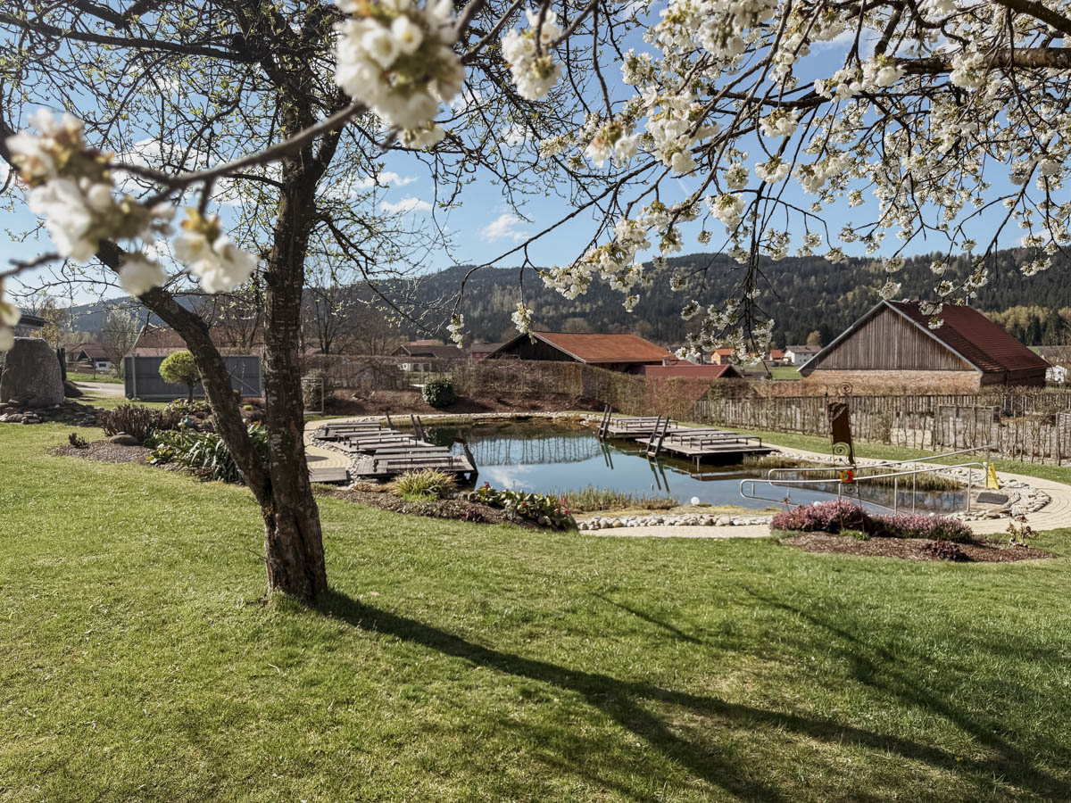 Cocotravel Deutschland Lindenwirt Spa 41