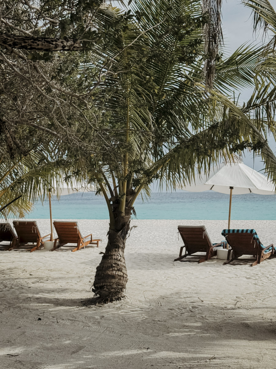 hoch COCOtravel velassaru maldives allgmein strandJPG