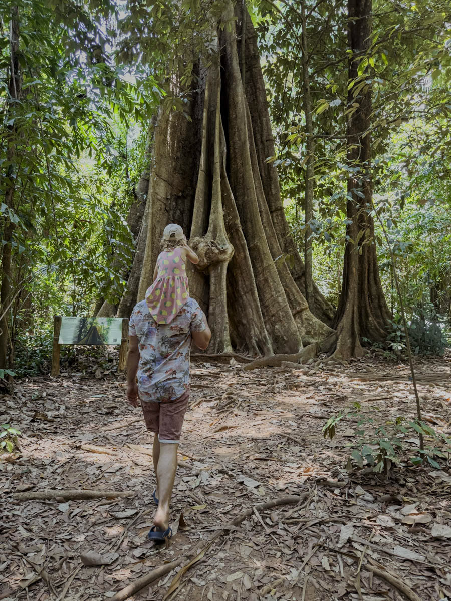 COCOtravel Thailand KohYaoNoi CapeKudu Ausflug Wanderer 14 COCOtravel Thailand KohYaoNoi CapeKudu Ausflug Wanderer 14