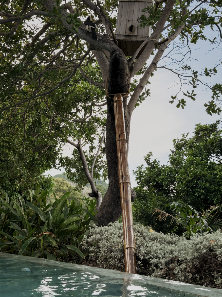 COCOtravel Thailand KohYaoNoi CapeKudu Hornbill 3 COCOtravel Thailand KohYaoNoi CapeKudu Hornbill 3